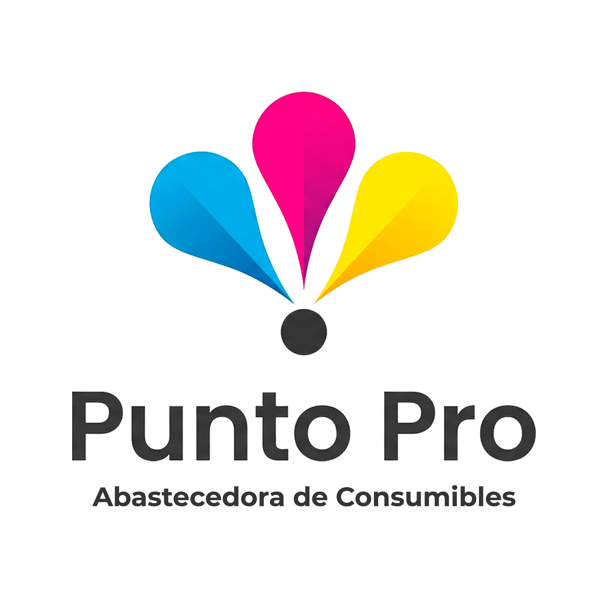 Logo Punto Pro